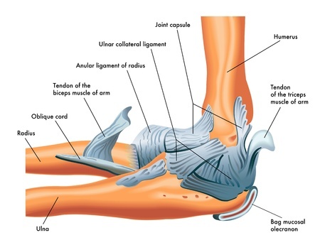 Do Struggle With Elbow, Forearm, or Wrist Pain After Training Brazilian Jiu Jitsu?